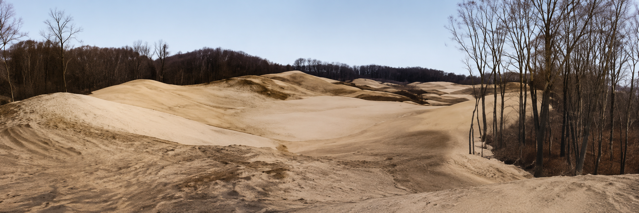 Environmental assessment